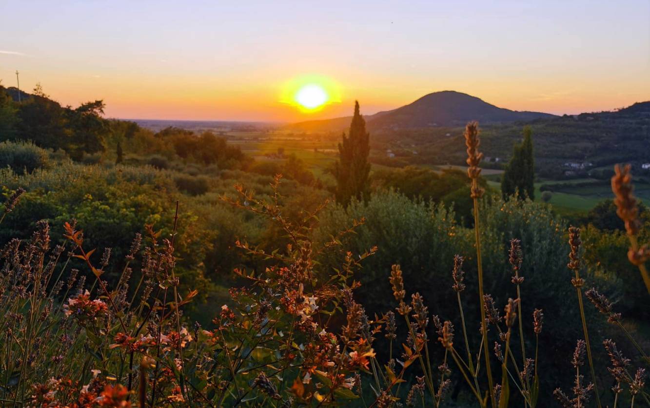 Ristoro La Vallesana | Colli Euganei