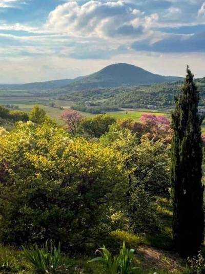 Ristoro La Vallesana | Colli Euganei