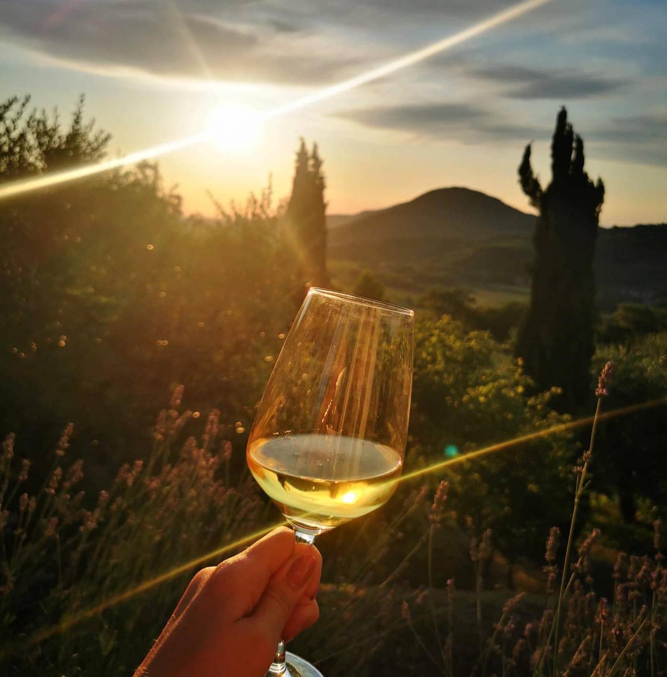Ristoro La Vallesana | Colli Euganei